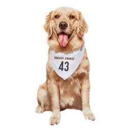 Cincinnati Bengals Abu Daramy-Swaray White Pet Bandana for Dog & Cat