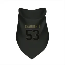 Cincinnati Bengals Brian Asamoah II Black Service Pet Bandana for Dog & Cat