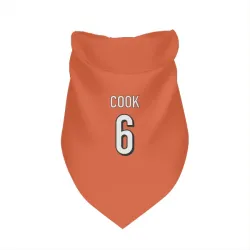 Cincinnati Bengals Bryan Cook Orange Pet Bandana for Dog & Cat
