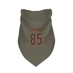 Cincinnati Bengals Cam Grandy Olive Pet Bandana for Dog & Cat