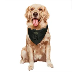 Cincinnati Bengals Cody Ford Black Service Pet Bandana for Dog & Cat