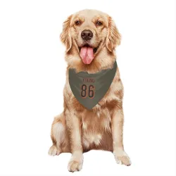 Cincinnati Bengals Colbie Young Olive Pet Bandana for Dog & Cat