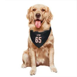 Cincinnati Bengals Connor Lew Black Pet Bandana for Dog & Cat