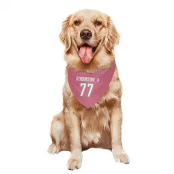 Cincinnati Bengals Corey Robinson II Pink Pet Bandana for Dog & Cat