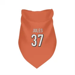 Cincinnati Bengals PJ Jules Orange Pet Bandana for Dog & Cat