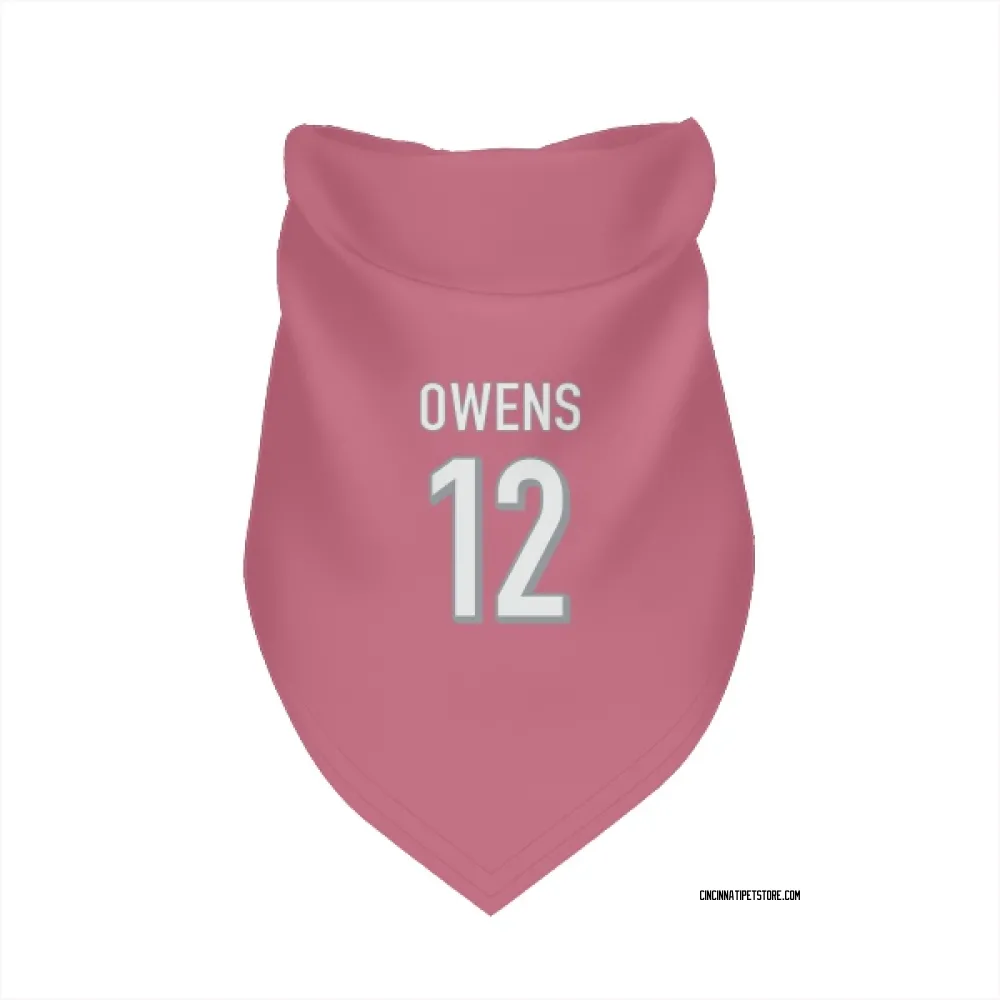 Cincinnati Bengals Rashod Owens Pink Pet Bandana for Dog & Cat